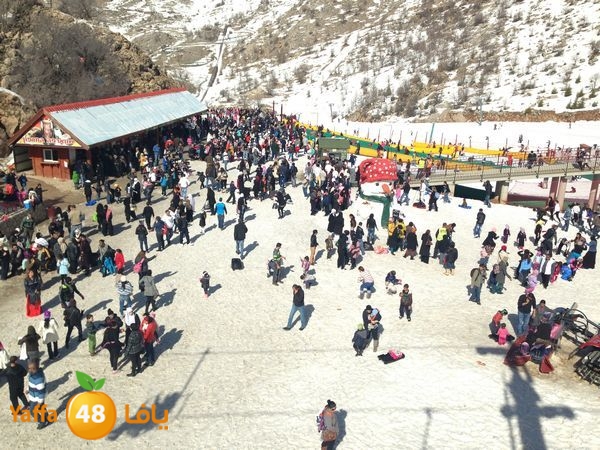 jabalelskheikhlud (4).JPG